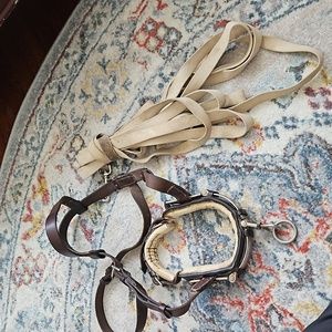 Cob Sized lunging cavesson and lunge line